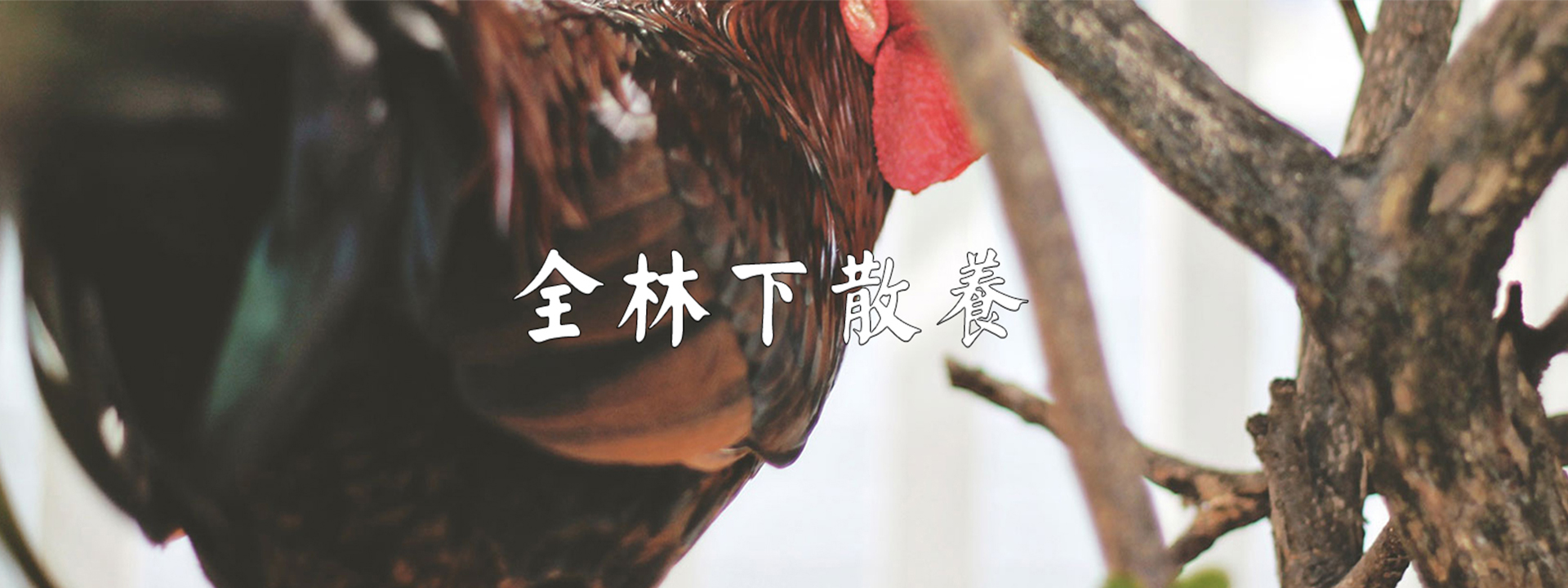 重庆明吉农产品配送有限公司